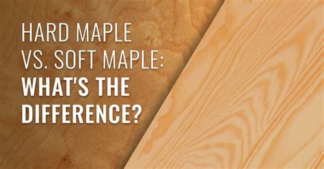 maple soft test|difference between soft and hard maples.